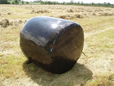 straw bales for silage